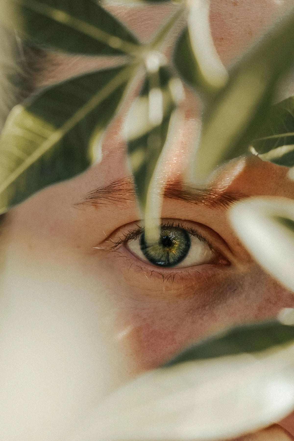 Close-up of a young woman's eye showing vibrant and smooth skin after using Halo 42 anti-aging oil. The eye area appears well-moisturized and youthful, highlighting the product's rejuvenating effects.